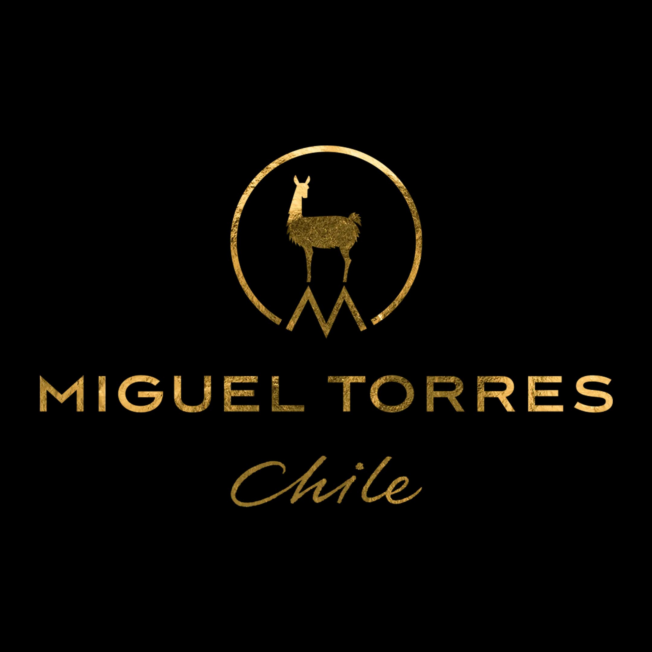 logo miguel torres